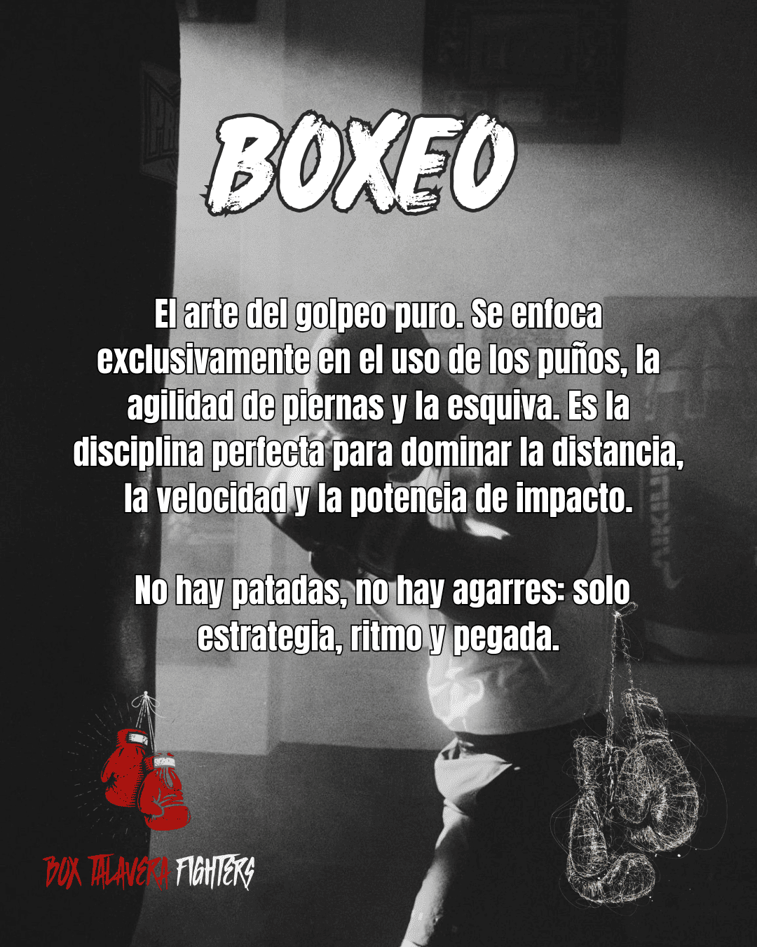 Boxeo